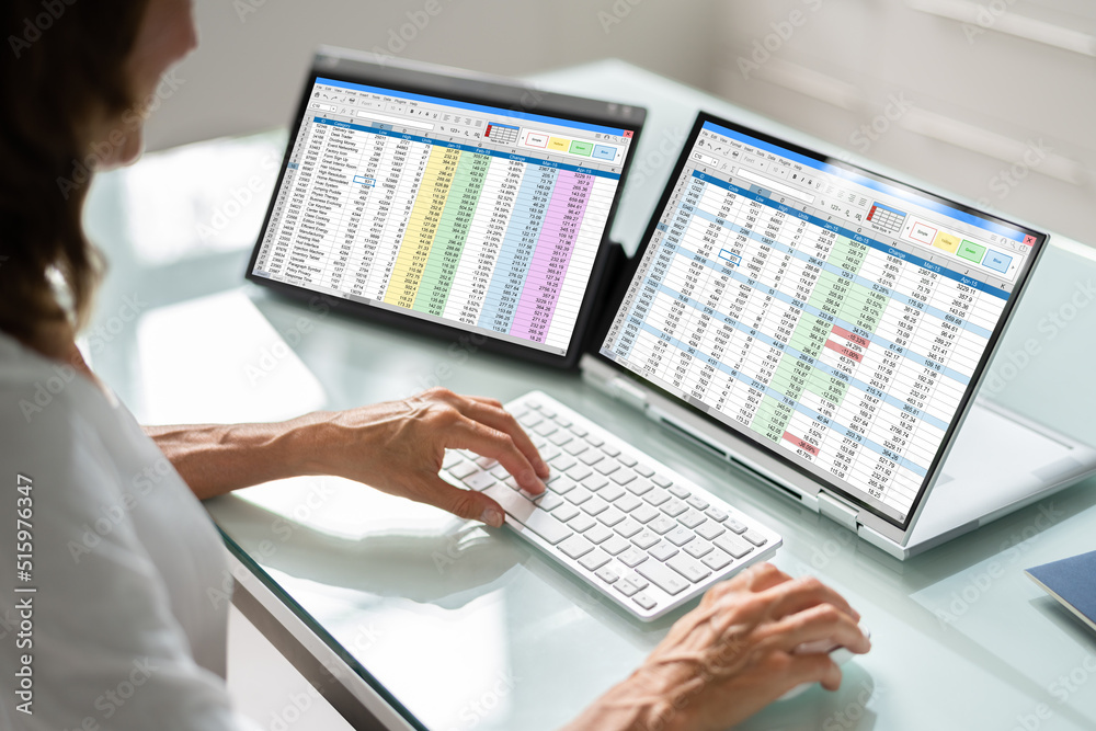 Poster electronic spreadsheet analyst or auditor using software