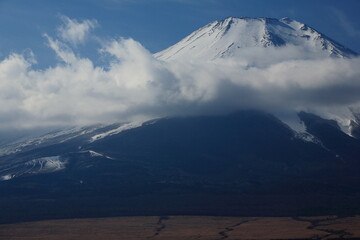 Fototapeta na wymiar 山中湖　長池親水公園からの富士山