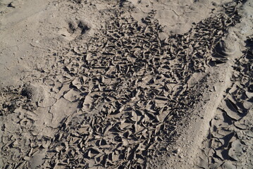 Dried up mud rolls up in the desert sand creating a textured design background.