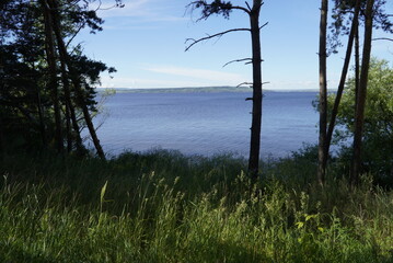 Picturesque Summer landscape with tree and herbs on the Volga River coast. Ulyanovsk