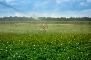 Fototapeta na wymiar Irrigation system on a potato field