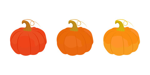 Vector set of orange pumpkins isolated on a white background