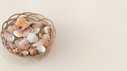 High angle, panoramic view of starfish and shells, isolated on white background, selective focus, space for text