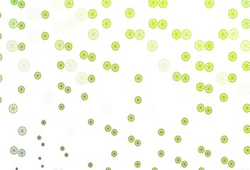 Light Green vector layout with bright snowflakes.