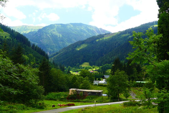 Radmer an der Hasel (2)