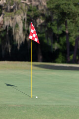Obraz premium Golf ball near a flagstick on a golf course.