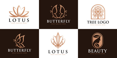 Set lotus, butterfly, woman feminine logo design template