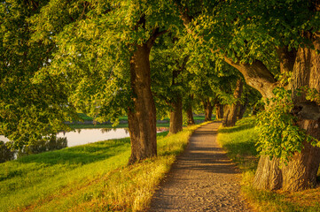 Naklejka premium Way home, river Morava, trees, iron bridge, 