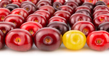 Red cherry with one yellow berry, laid out in rows