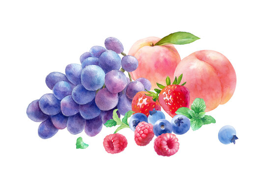 フレッシュな3種のベリーと桃、葡萄の水彩イラスト。ラズベリー、ストロベリー、ブルーベリー、ミント、桃、葡萄の集合。