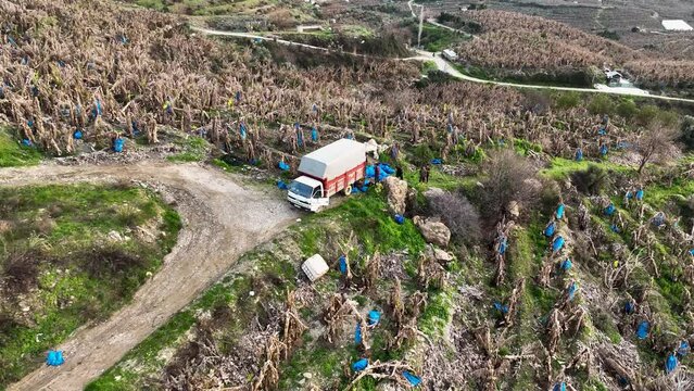 A car with bananas goes to the market aerial view 4 k Alanya Turkey
