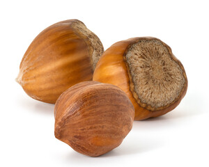 Three nuts hazelnut not purified and purified  on white background. Full depth of field. With clipping path