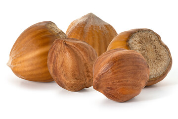 Five nuts hazelnut not purified and purified on white background. Full depth of field. With clipping path