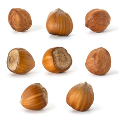 Several nuts hazelnut not purified and purified  on white background. Full depth of field. With clipping path