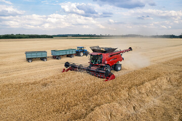 Drone view of the combine mows the grain in the field