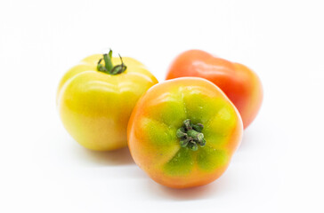 Tomatoes isolated on white background. organic vegetable