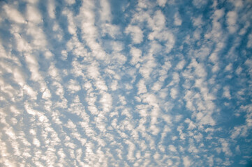 Fluffy clouds in the sky
