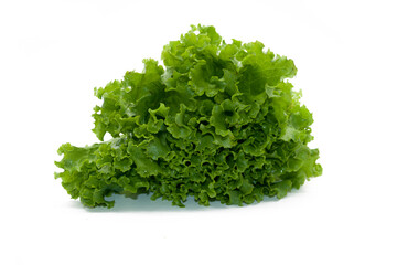 Fototapeta premium Lettuce leaf isolated on white background
