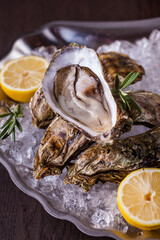 Fresh oysters