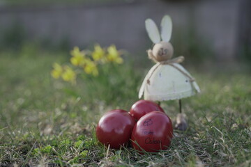osterhasen und narzissen