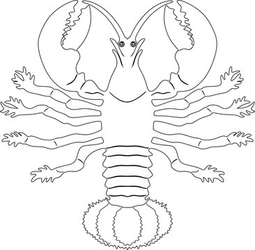 recommend clip art: crayfish logo black design handamade silhouette 