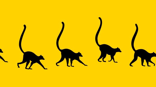 Walking lemurs, animation on the yellow background (seamless loop)
