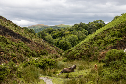 Shropshire Hills