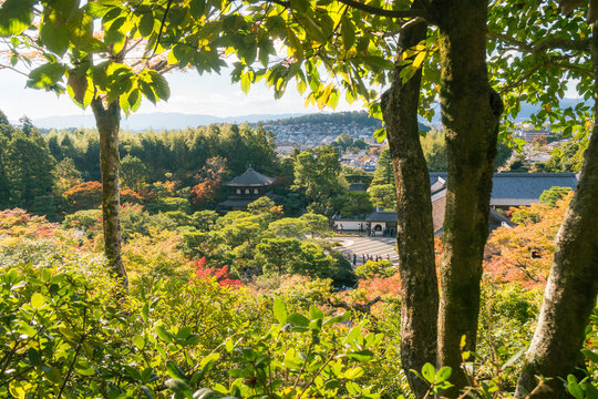 Panoramic view, peeking between the trees at the golden hour, from the hilltop of the Silver Pavillion or Ginkaku-Ji Zen Temple and gardens, and the city of Kyoto in the background in Kyoto, Japan.
