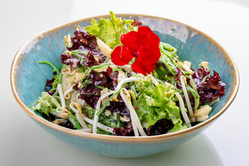 Salad with chuka seaweed, soybean sprouts and apple. On a white background, isolated. Vegetarian dish.