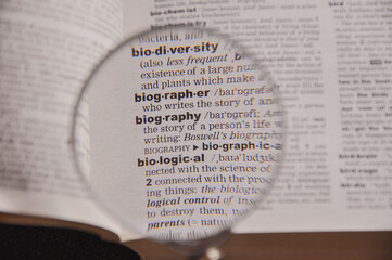 The definition of the word Biography in a dictionary, under magnifying glass, translator and language concept - obrazy, fototapety, plakaty