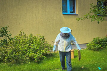 beekeeper catching a swarm of bees on the roof of the house to the beekeeper's box
