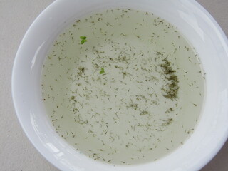 日本メダカの稚魚