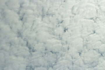 Clouds in sky. Weather conditions. Atmosphere in summer.