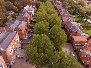 Fototapeta premium Aerial view of Dublin trees and house