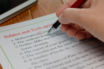 Subject and Verb Agreement worksheet on wooden table