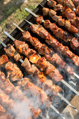 Shish kebab is fried on the grill close-up in summer