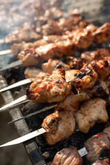 Shish kebab is fried on the grill close-up in summer
