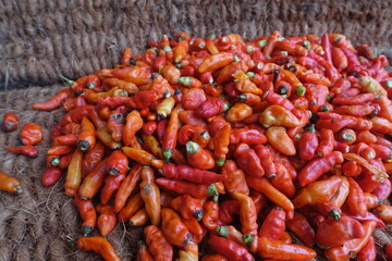 Cayenne pepper (Capsicum frutescens) is a fruit and plant member of the genus Capsicum whose fruit grows towering upwards.