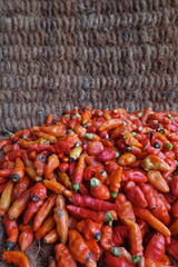 Cayenne pepper (Capsicum frutescens) is a fruit and plant member of the genus Capsicum whose fruit grows towering upwards.
