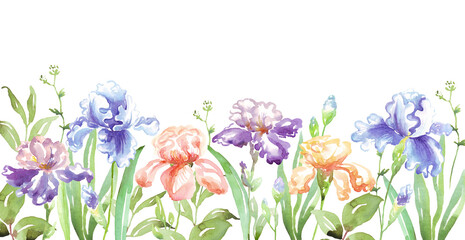 Obraz na płótnie Canvas Watercolor iris frame. Hand-painted clipart