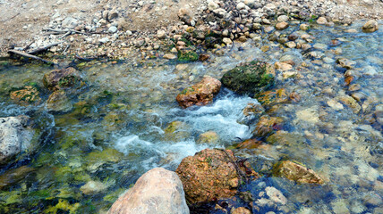 Mountain river, fast flowing water, clear water, white stones at the bottom, many green plants on the shore, high cliffs. Serpis River, Spain.