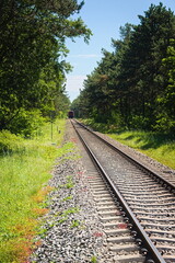 railway in the forest on the Hel Peninsula