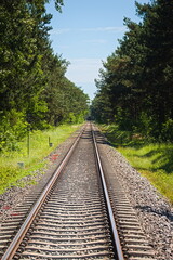 Fototapeta na wymiar railway in the forest on the Hel Peninsula