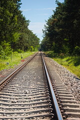 Fototapeta na wymiar railroad tracks in the forest