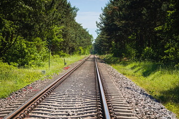 railroad tracks in the forest