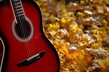 guitar with autumn leaves in the background
