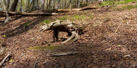 Landschaft und Meer an der Ostküste der Insel  Rügen bei der Stadt Göhren