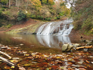 養老渓谷の紅葉