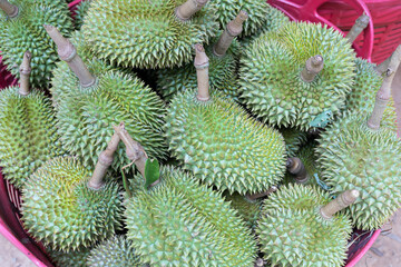 durians for sale in the basket