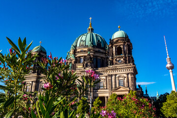 Berliner Dom - Berlin Kirche © Lukas Köhler